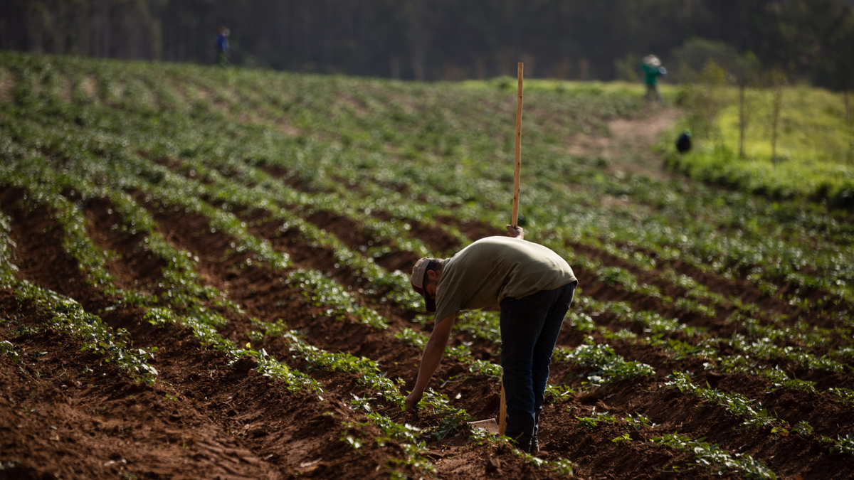 O que a alimentação tem a ver com o clima?