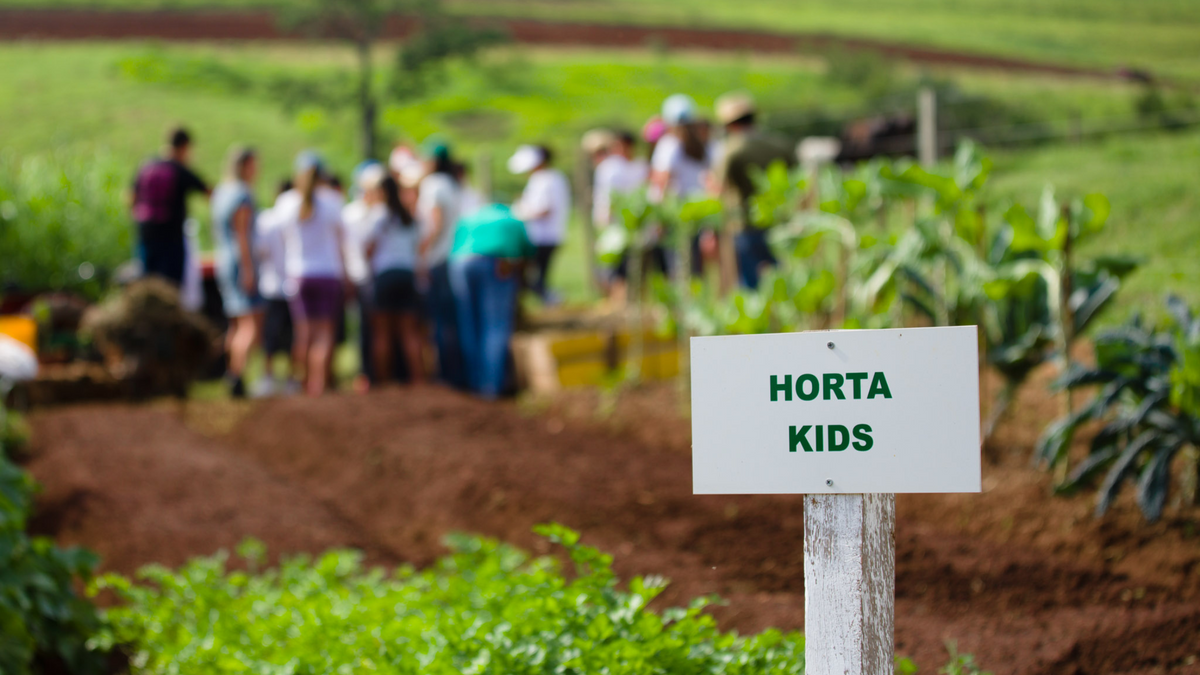 A importância do alimento orgânico na alimentação infantil: como criar bons hábitos desde cedo