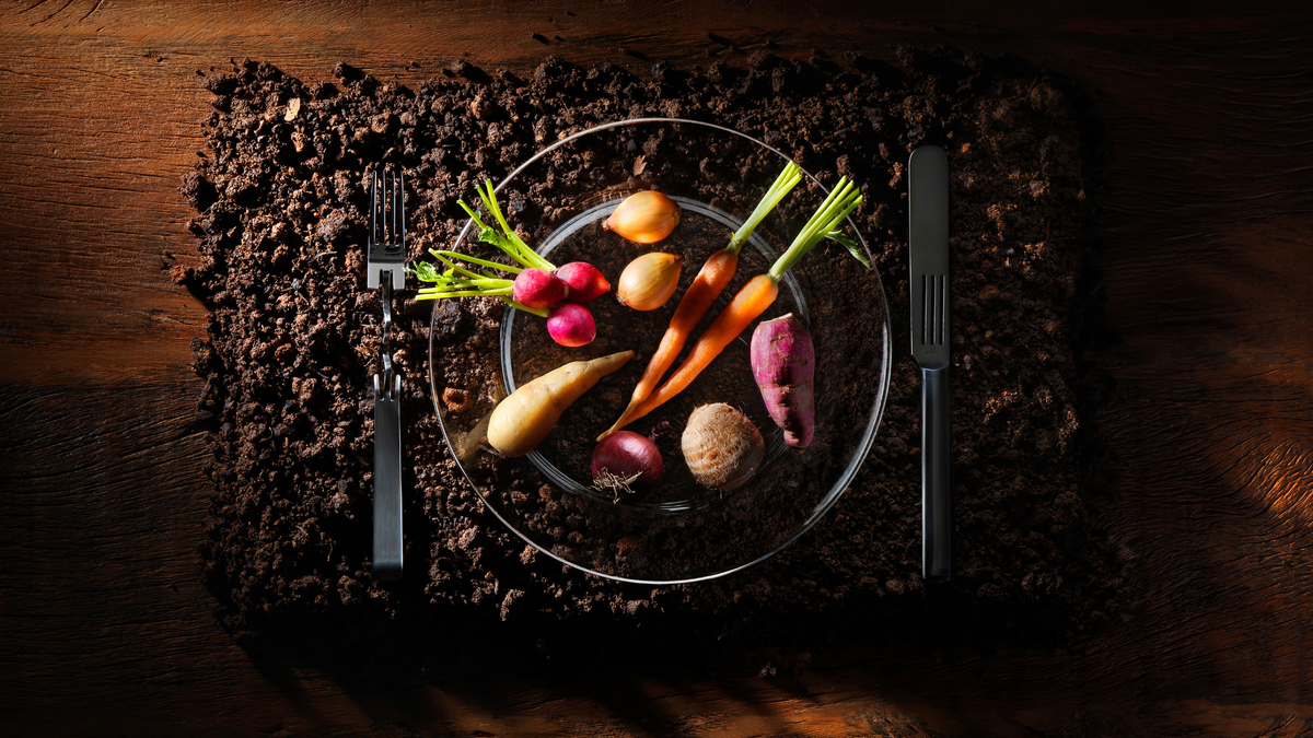Comer com intenção: como a alimentação consciente e sustentável transforma sua saúde e o planeta