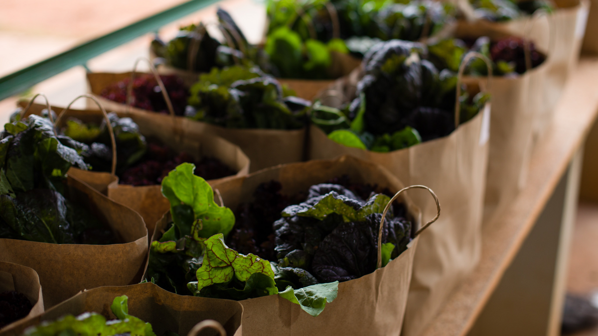 Alimentação orgânica acessível: como facilitar e economizar na cozinha