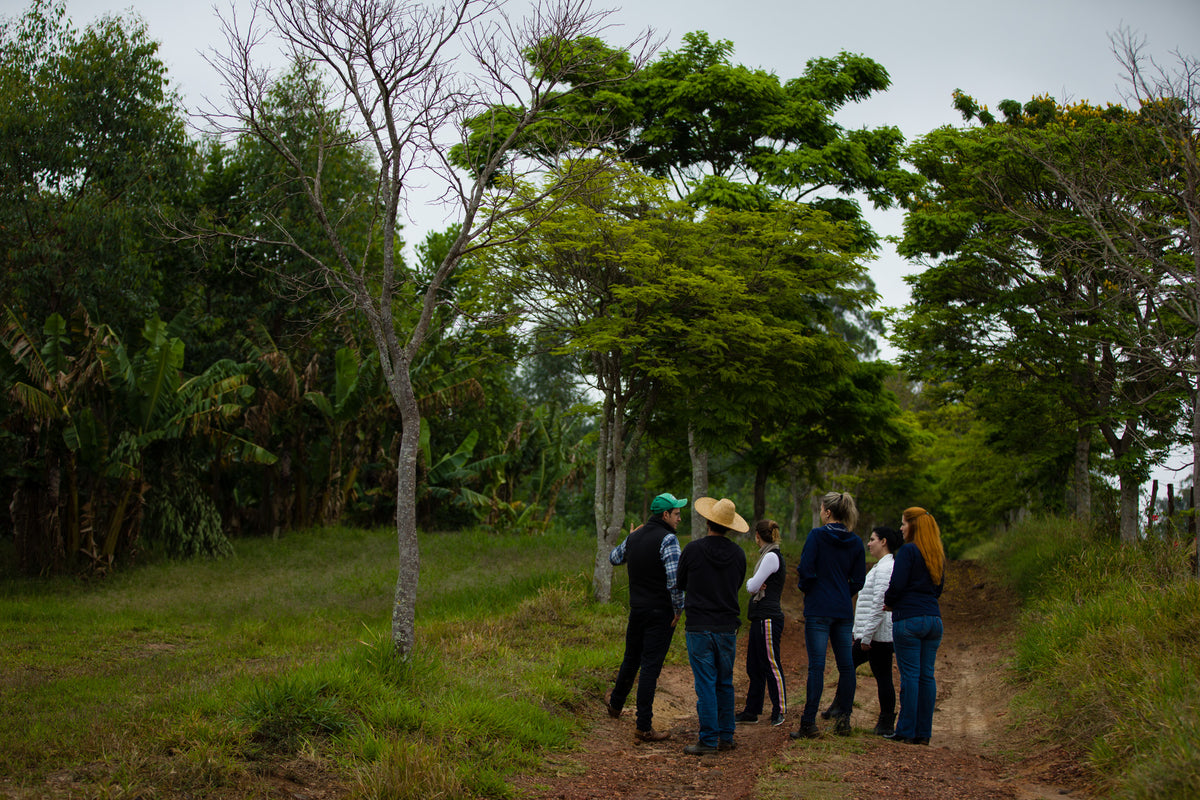 Por que se juntar a uma CSA é a melhor maneira de apoiar os agricultores locais