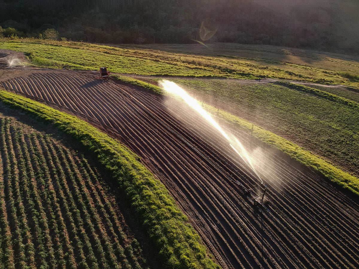 Como reduzir a pegada ambiental e promover a sustentabilidade por meio do CSA