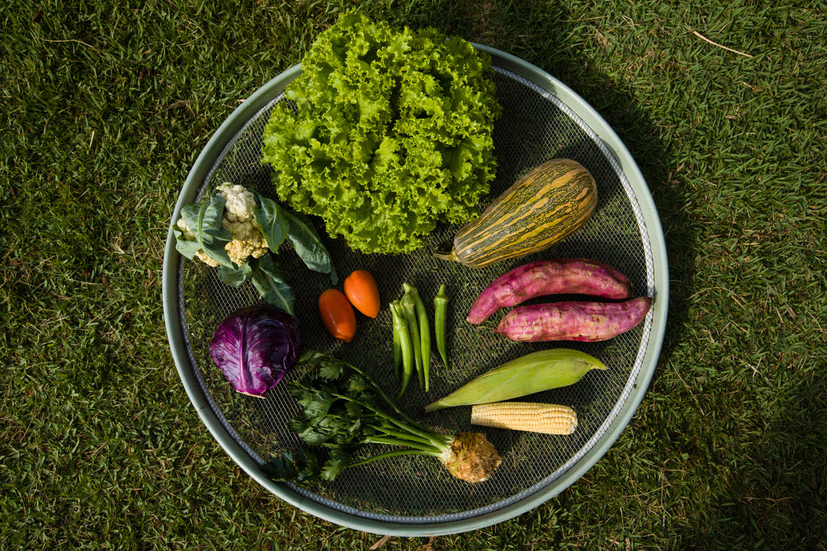 Compreendendo a alimentação sazonal por meio de alimentos orgânicos