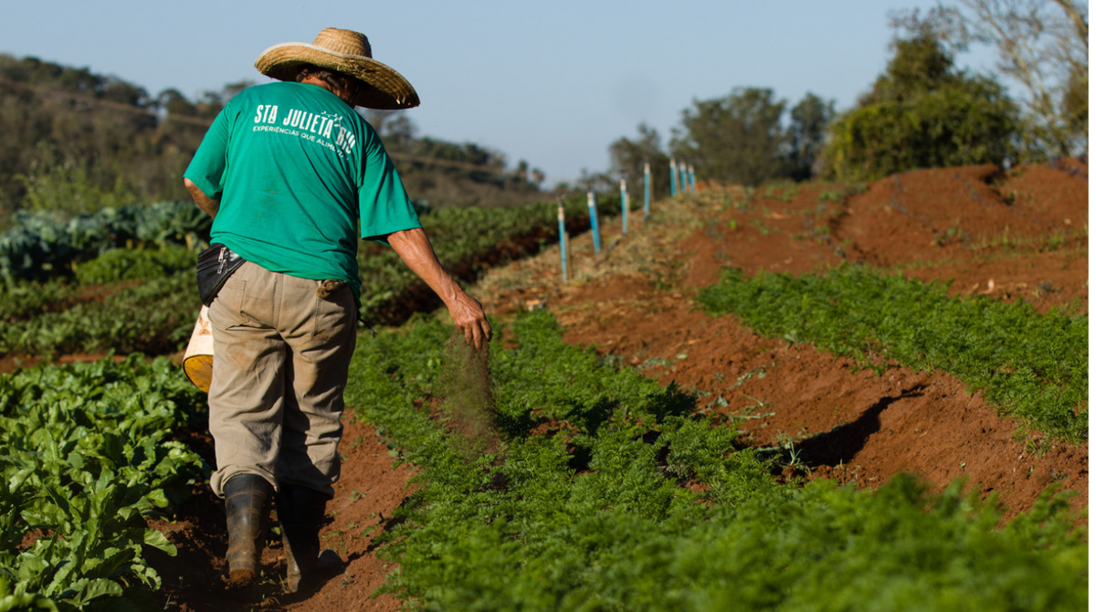 Sustentabilidade na mesa: O impacto dos alimentos que escolhemos