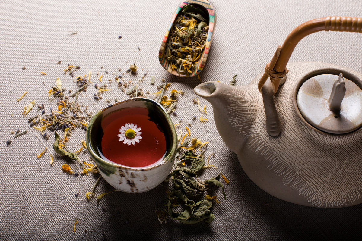Os benefícios dos chás de infusão para a saúde