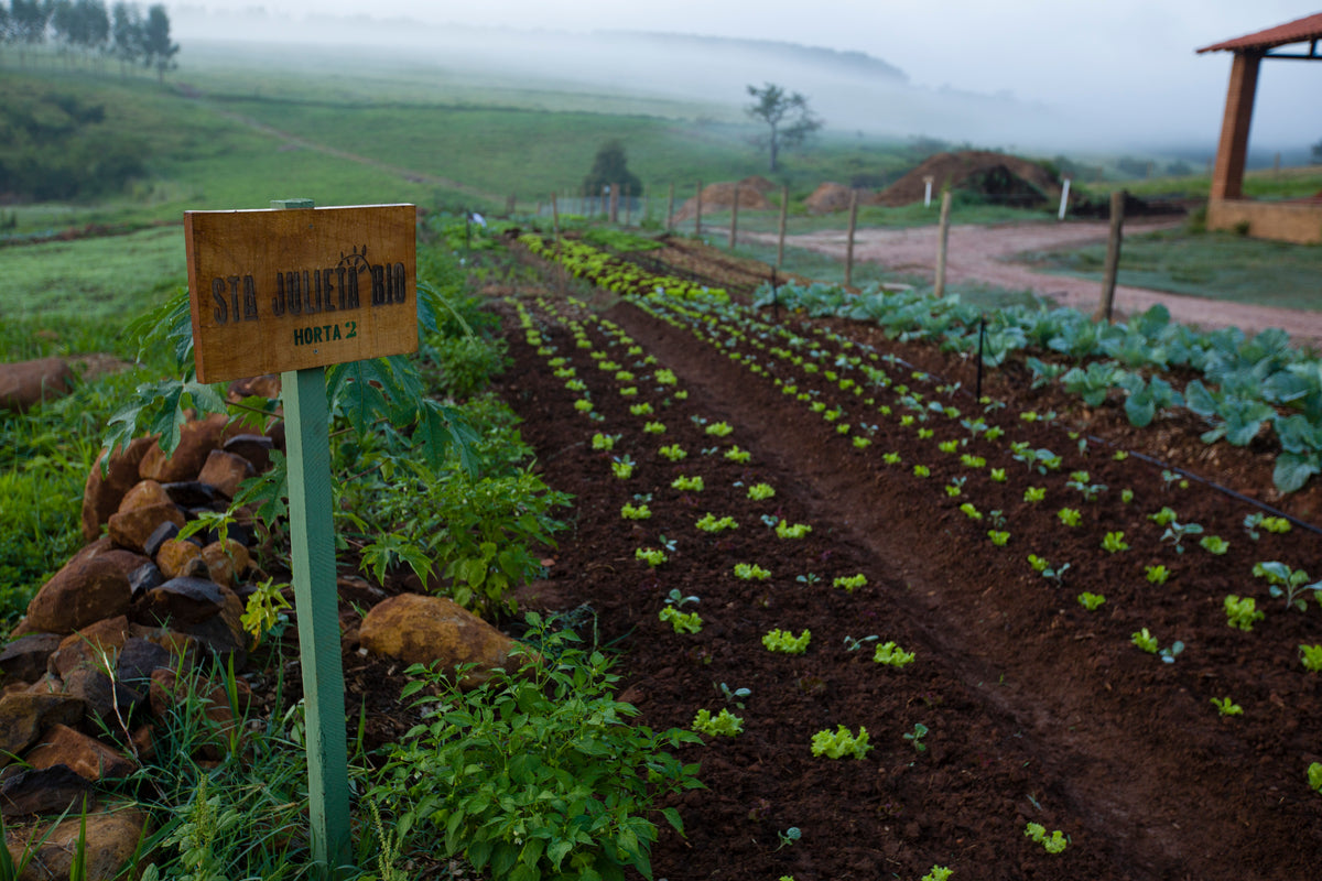 Os 7 benefícios da agricultura apoiada pela comunidade