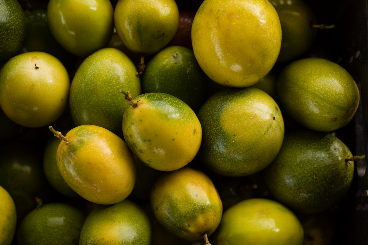Explorando o ciclo da fruta: cultivando frutas saudáveis o ano todo
