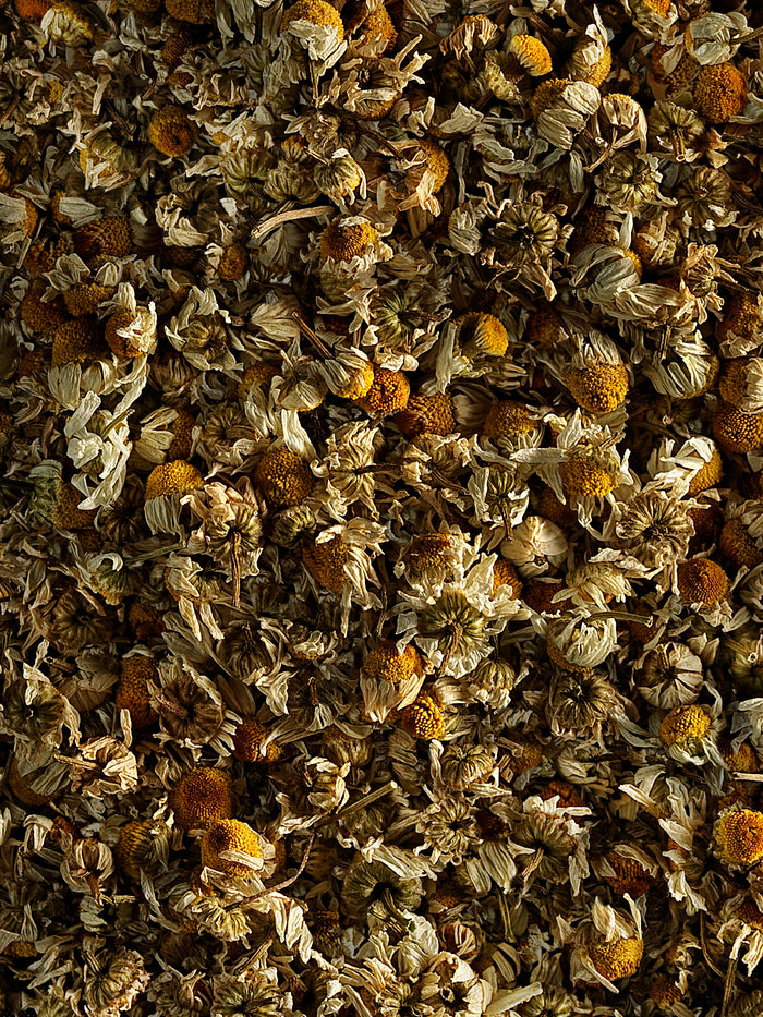 COLO DE MÃE – Infusão pediátrica